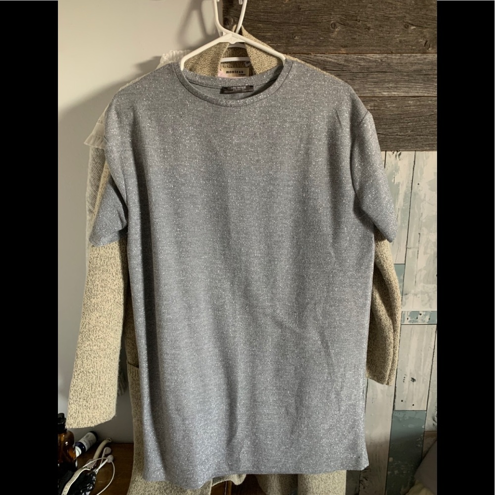 Zara long shirt or dresses